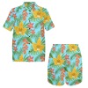 Men's Shirt and Shorts Outfit (Sets 26)