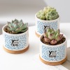 Personalized Ceramic Flowerpot