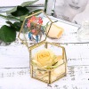 Hexagon Glass Jewelry Box
