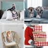 Custom Shaped Pillow