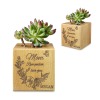 Mini Square Wooden Flower Pot (Made In USA)