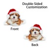 Custom Pet Shaped Pillow(16'')