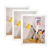 Art Print 20"x24"(3 Packs)（Made In Queen）