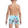 Little Boys' Swimming Trunks (L57)