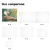 Art Print 24"x20"(3 Packs)（Made In Queen）