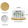 Custom Ceramic Succulent Plant Pot