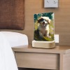 Acrylic Photo Panel with Wooden Stand (Made in Queen)