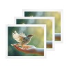 Art Print 24"x20"(3 Packs)（Made In Queen）
