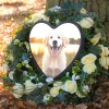 Heart-Shaped Pet Memorial Stone