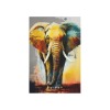 Polyester Peach Skin Wall Tapestry 40" x 60" inch