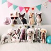 Custom Shaped Pillow