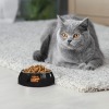 Custom Stainless Steel Pet Bowl