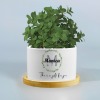 Custom Ceramic Succulent Plant Pot