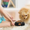 Custom Stainless Steel Pet Bowl