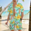 Men's Shirt and Shorts Outfit (Sets 26)