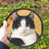 Round Pet Memorial Stone
