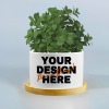 Custom Ceramic Succulent Plant Pot
