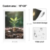 Art Print 16"x24"(3 Packs)（Made In Queen）