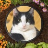 Round Pet Memorial Stone