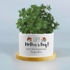 Custom Ceramic Succulent Plant Pot