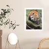 Art Print 11"x14"(1pc)（Made In Queen ）