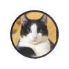 Round Pet Memorial Stone