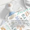 Custom Ultra-Soft Fleece Blanket(30"x40")