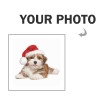 Custom Pet Shaped Pillow(16'')