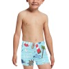 Little Boys' Swimming Trunks (L57)