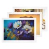 Art Print 24"x16"(3 Packs)（Made In Queen）