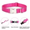 Laser Engraved Metal Buckle Pet Collar (3pcs)（Made In USA）