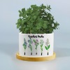 Custom Ceramic Succulent Plant Pot