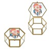 Hexagon Glass Jewelry Box