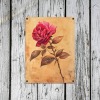 Metal Tin Sign 12"x16"(2 PCS)(Made In Queen)