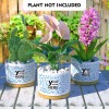 Personalized Ceramic Flowerpot